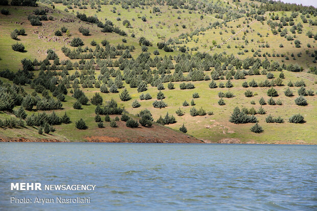 Vahdat Dam in Kurdestan prov. Overflows