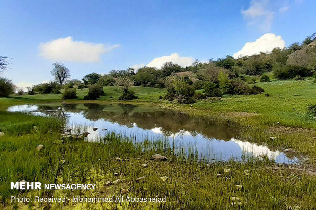 Olang Forest in Iran’s Shahroud