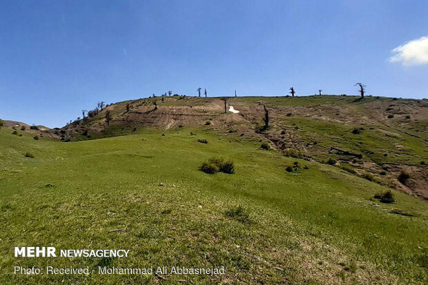 Olang Forest in Iran’s Shahroud