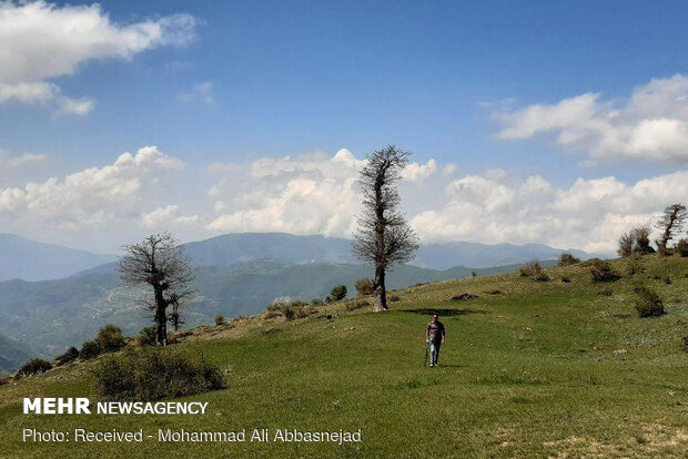Olang Forest in Iran’s Shahroud