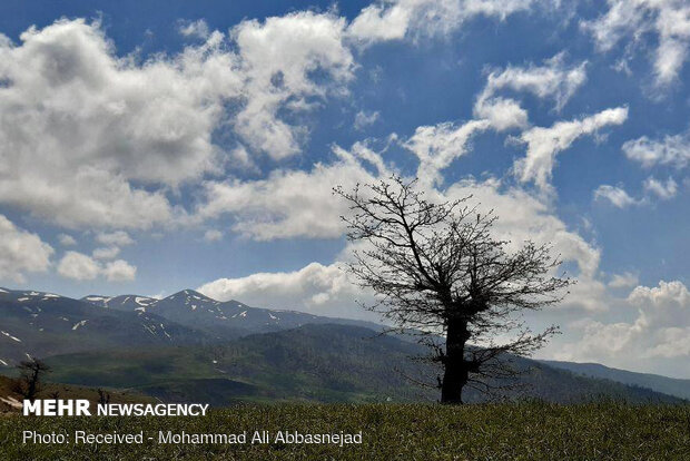 Olang Forest in Iran’s Shahroud