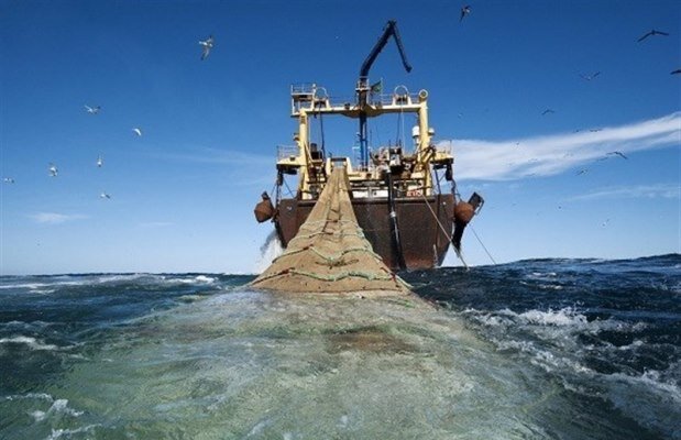 Iranian coastguards detain 4 trawlers, 8 foreign nationals in Hormozgan