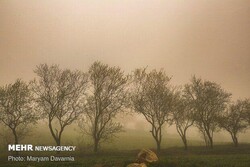 پیش‌بینی غبار محلی و کاهش دما در استان البرز