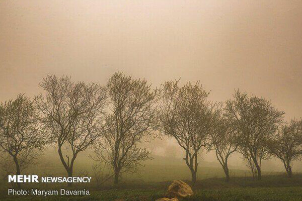 وزش بادهای ۱۲۰ روزه در سیستان و بلوچستان ادامه دارد