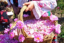 آرامگاه تاریخی چلبی اوغلو میزبان سومین جشنواره گل و گلاب