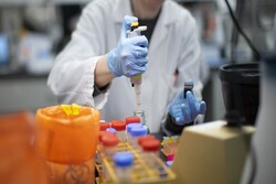Iranian researchers attain knowledge of producing corona drugs