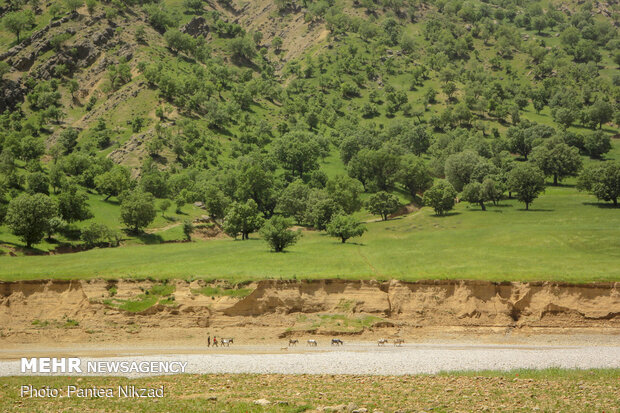 افراد سالخورده، زنان و کودکان به همراه بار و بنه و چهارپایان بزرگ مجبورند از بقیه اعضای ایل و گله جدا شوند و با پیمودن مسیر مضاعفی در امتداد رود، به  روستای گزستان برسند تا بتوانند با بلم از رودخانه عبور کنند و دوباره به ایل بپیوندند