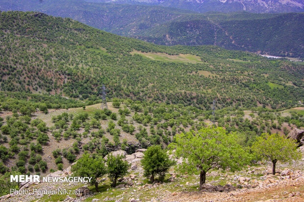 Mesmerizing sceneries of Bazoft in southwestern Iran