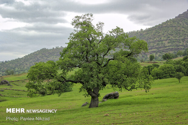 Mesmerizing sceneries of Bazoft in southwestern Iran