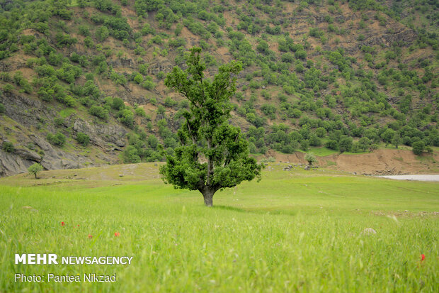 Mesmerizing sceneries of Bazoft in southwestern Iran