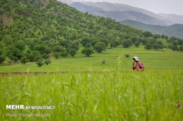 Mesmerizing sceneries of Bazoft in southwestern Iran