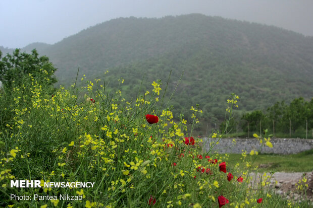 Mesmerizing sceneries of Bazoft in southwestern Iran