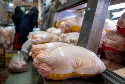 مرغ منجمد با نرخ ۱۳ هزار و ۵۰۰ تومان در کرمان توزیع می‌شود