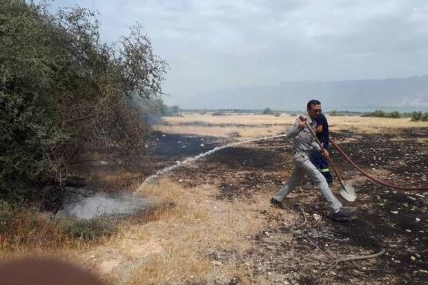 آتش‌سوزی در مراتع شهرستان دشتستان مهار شد