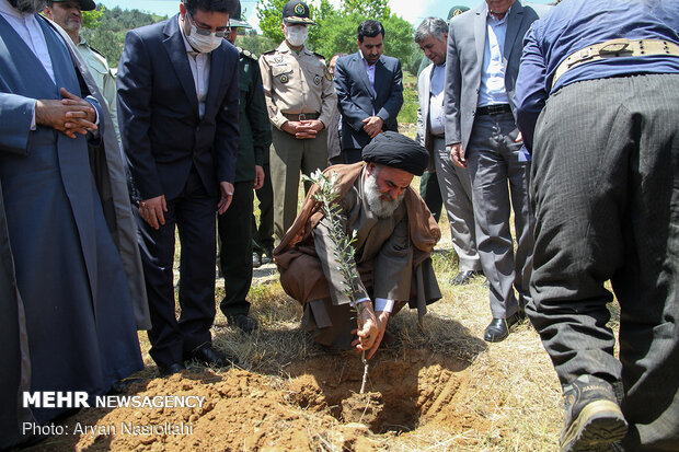 Planting olive sapling to mark Intl. Quds Day
