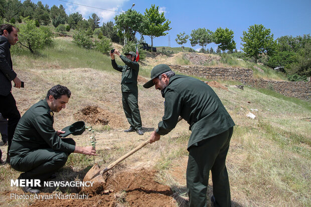 Planting olive sapling to mark Intl. Quds Day
