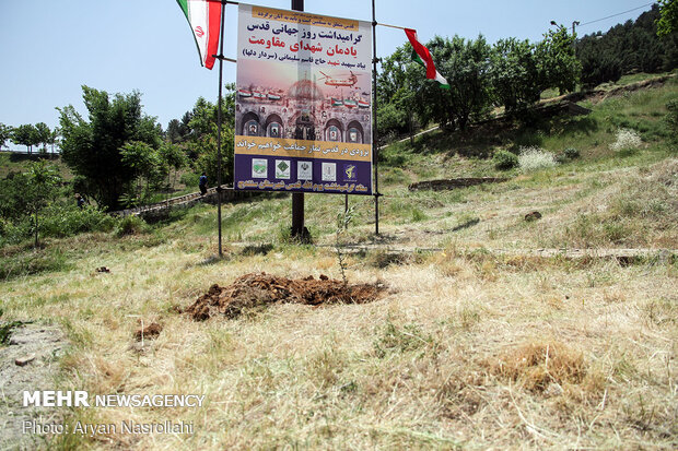 Planting olive sapling to mark Intl. Quds Day
