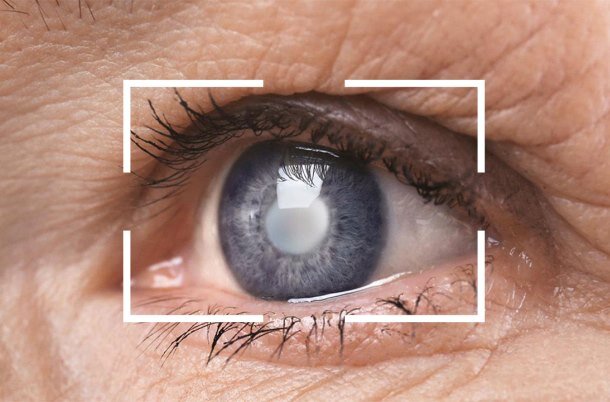 استفاده از یک آنتی اکسیدان طبیعی تاثیر مثبتی در شبکیه چشم دارد