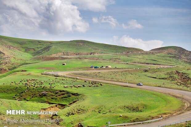 طبیعت بهاری شهرستان گرمی استان اردبیل