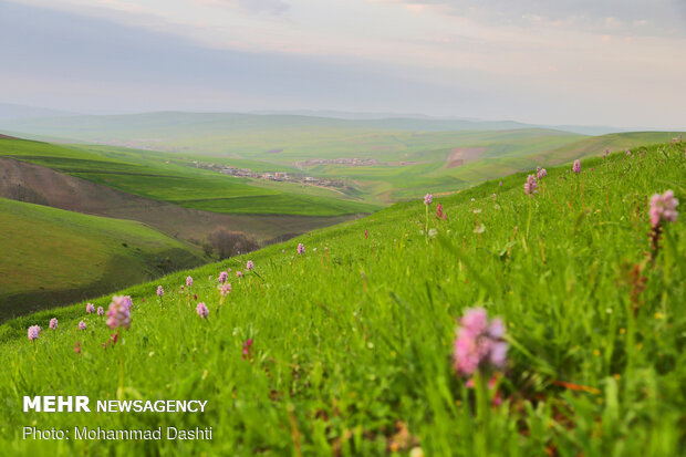 طبیعت بهاری شهرستان گرمی استان اردبیل