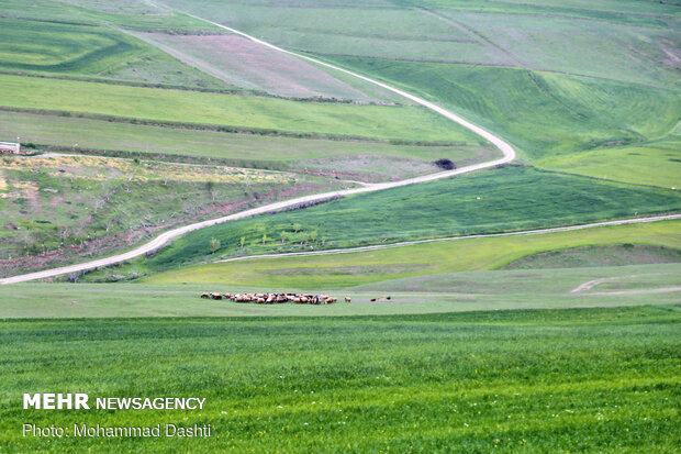 طبیعت بهاری شهرستان گرمی استان اردبیل