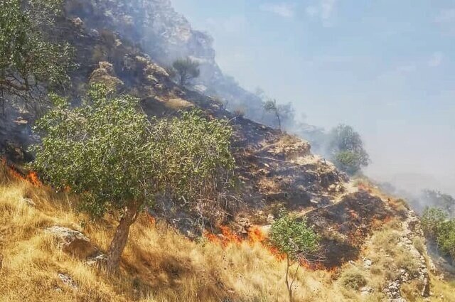 آتش به منطقه حفاظت شده خائیز رسید/ گونه‌های جانوری و گیاهی در خطرند