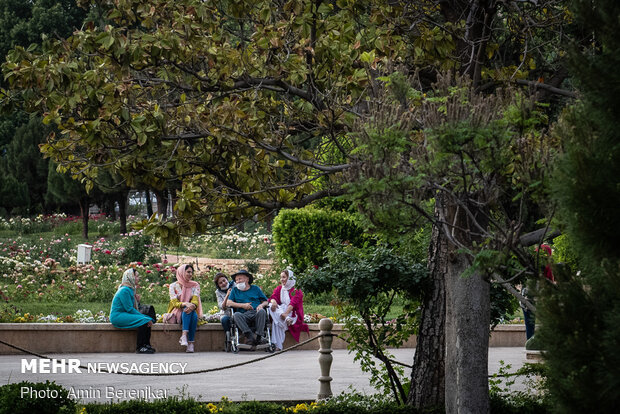 Naranjestan Qavam, Eram Garden in Shiraz opened
