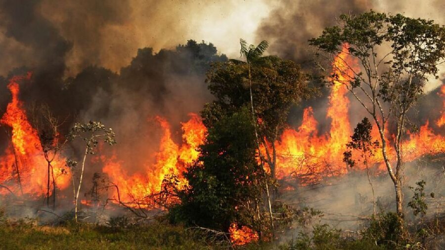 اهمال دستگاه‌ها در مقابله با آتش‌سوزی جنگلها مجازات به دنبال دارد