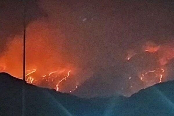 آتش سوزی گسترده جنگل های خاییز کهگیلویه را فرا گرفت