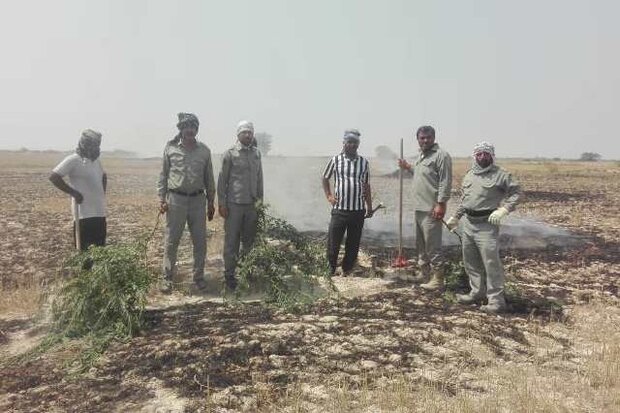 آتش‌سوزی در منطقه حفاظت‌شده مند استان بوشهر مهار شد