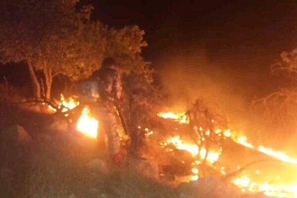 آتش سوزی جنگل های منطقه حفاظت شده خائیز مهار شد