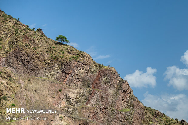 Nature of “Alamut” with breathtaking views in Qazvin 