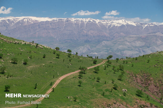 Nature of “Alamut” with breathtaking views in Qazvin 