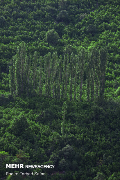 Nature of “Alamut” with breathtaking views in Qazvin 