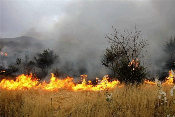 آتش به مراتع و مزارع شش روستای استان قزوین خسارت زد