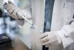 واکسیناسیون طیور بومی علیه بیماری نیوکاسل در قزوین آغاز شد