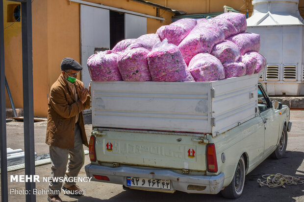 Rosewater production line