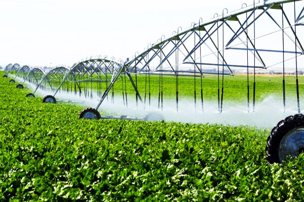 ۶۸ هزار هکتار از اراضی کشاورزی مجهز به سیستم آبیاری نوین هستند