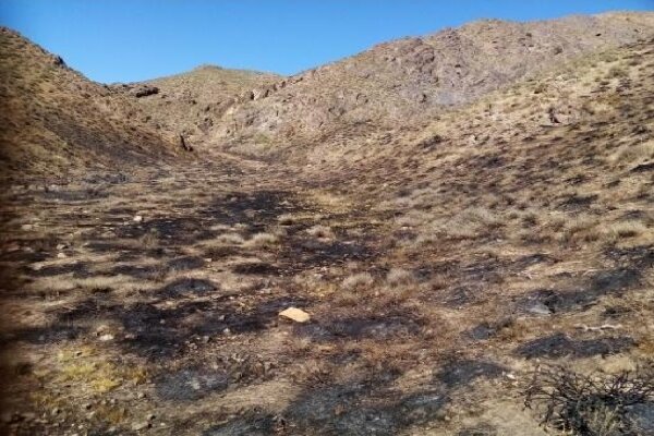 آتش سوزی مراتع شهرستان خداآفرین به صورت کامل مهار شد