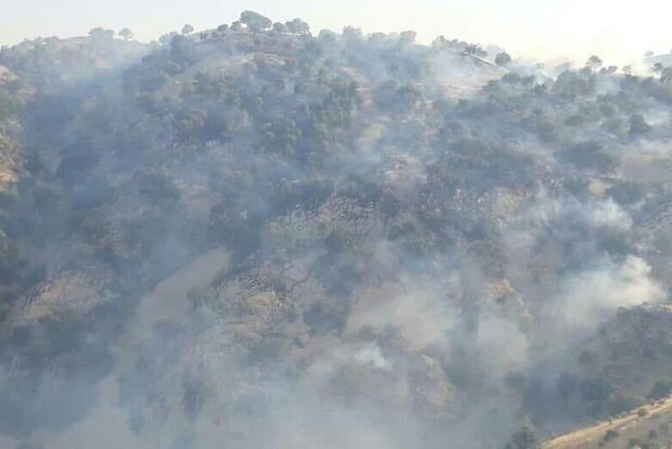 عامل آتش سوزی منطقه «تنگه قیر» چرداول دستگیر شد