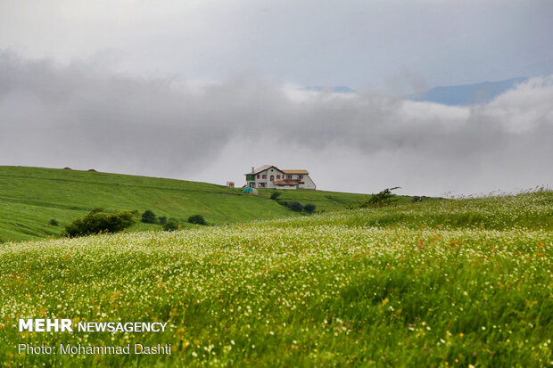 Beauties of Fandoqlu Forest in NW Iran
