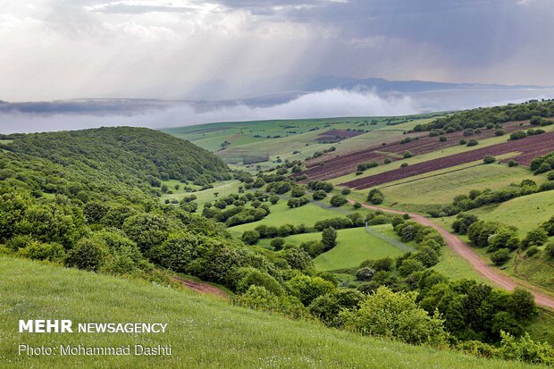 Beauties of Fandoqlu Forest in NW Iran
