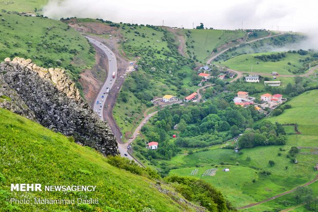 Beauties of Fandoqlu Forest in NW Iran
