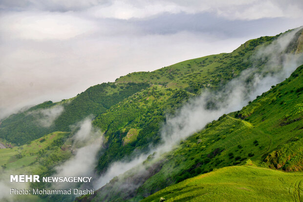 Beauties of Fandoqlu Forest in NW Iran
