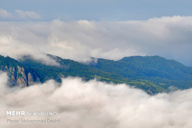 Beauties of Fandoqlu Forest in NW Iran
