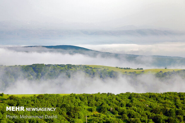 Beauties of Fandoqlu Forest in NW Iran
