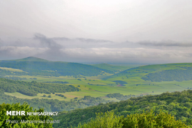 Beauties of Fandoqlu Forest in NW Iran
