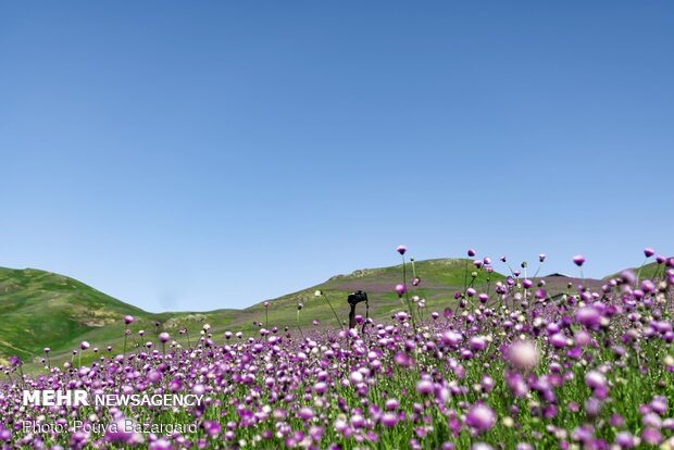 Asalem-Khalkhal green road 