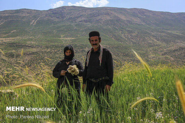 آیین کلنگ زنی پروژه آب رسانی مناطق عشایری بازفت