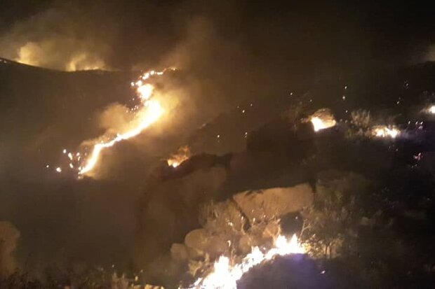 آتش سوزی در جنگل های فراشبند ادامه دارد